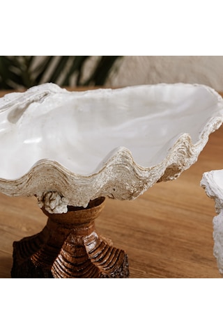 Mudo Home Shell Dekoratif Kase Beyaz 45x25x23 Cm