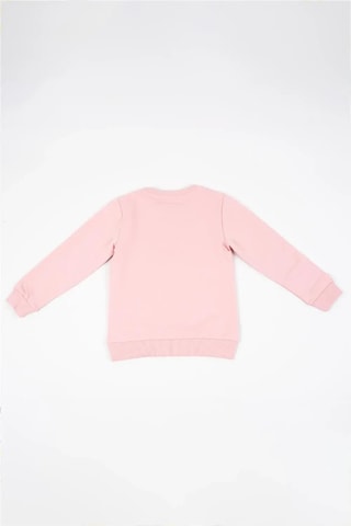 Kız Bebek Pembe Uzun Kollu Kuş Nakış Detaylı Kışlık Sweatshirt Pembe