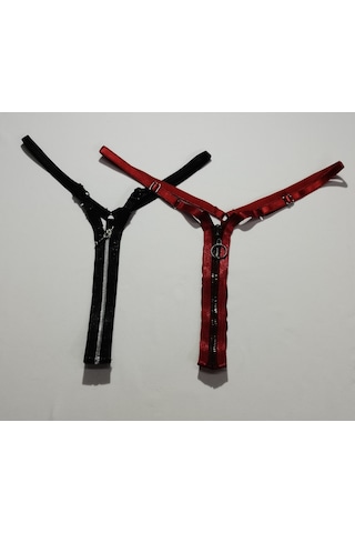 Asist Secret Magic Asm1253 Kadın 2 Li Renkli Fermuarlı Çabuçak String Tanga Çok Renkli