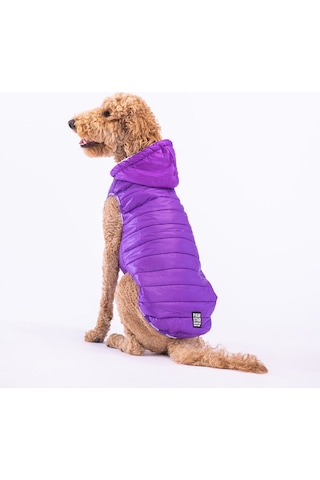 Pawstar Mor Railway Orta ve Büyük Irklar İçin Anorak Köpek Yeleği