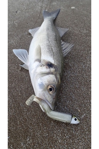 Fiiish Bm90/2 Bm009 Off Shore 10Gr. Kaki Jighead