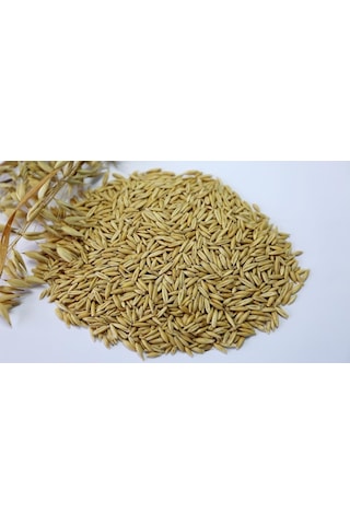 Gold Wings Yulaf Kuş Yemi 300 Gr