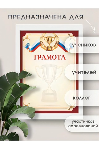 Pro Bel Spor Takım Yazgı A4 100'lü Set 362105436