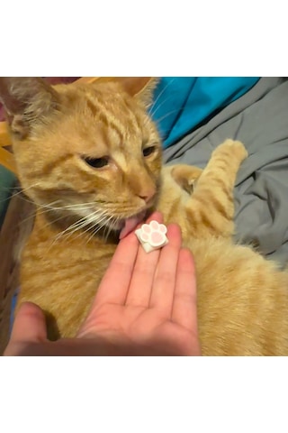 Kedi Patisi Keycap 3 Lü Set Sevimli Tuş Başlığı Cherry Mx Uyu