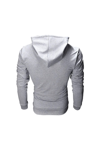 Envy Lab Kapüşonlu Sweatshirt 3929898 Gri