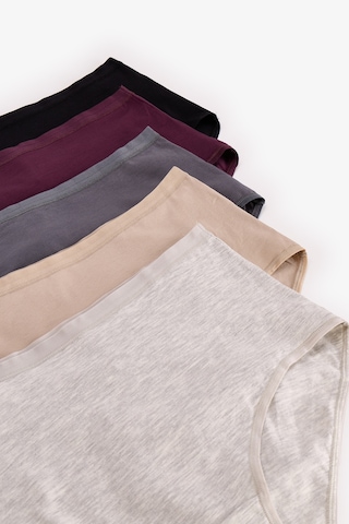 Penti Dark Mauve Yüksek Bel 5li Slip Külot Çok Renkli