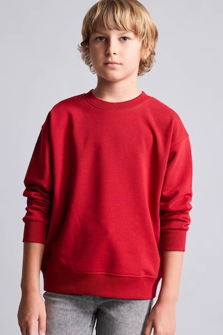 Defacto Bisiklet Yaka İçi Yumuşak Tüylü Basic Sweatshirt Erkek Çocuk I1419a826wnbr244 Kırmızı-br244