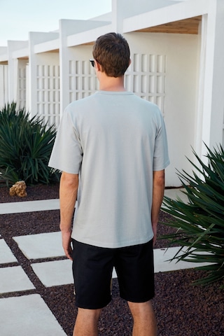 Grimelange CATWALK Erkek %100 Pamuk Regular Fit Gri T-Shirt