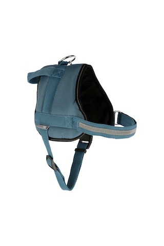 Belden Köpek Tasması Maestro 2.0 XXL 83-113 cm x 38 mm Mavi