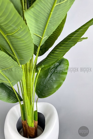 Biçiçek Yapay Muz Ağaci 210 Cm 4 Gövdeli̇ 21 Yaprak Beyaz Lale Saksıda