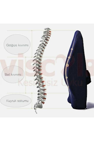 Viscoli Ortopedik Boyun Yastık. Bel Yastığı Oturma Minder