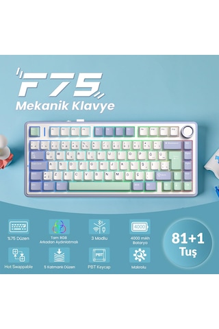 Aula F75 Mekanik Rgb Tkl Graywood V4 Switch Kablosuz Makrolu Hot Swap Türkçe Q Klavye Pastel