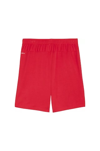 Puma 705752 Teamgoal Şort Kırmızı Kırmızı