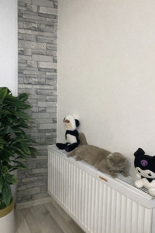 Alimünyum Petek,cam Balkon Kurutmalık 75cm Beyaz