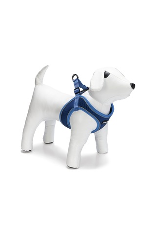 Beeztees Köpek Göğüs Tasması, Neopren, Mavi, M, 41-46cm Çok Renkli