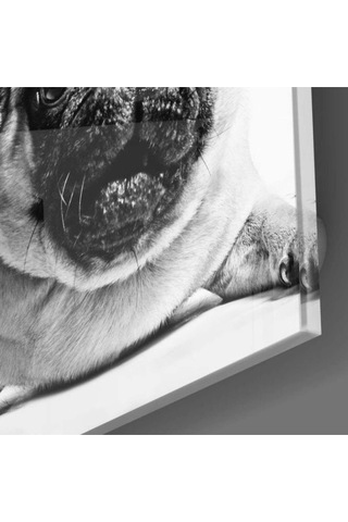 Pug Köpek Cam Tablo No:1043 Hediyelik, Dekoratif, Ofis, Mutfak