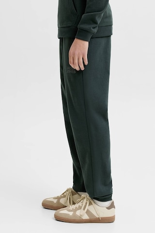 Jack & Jones Junior Jack&jones Junior Erkek Çocuk Eşofman 12179798 Koyu Yeşil