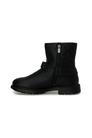 U.s.polo Assn Bloom 3pr Siyah Comfort Casual Spor Bot Siyah