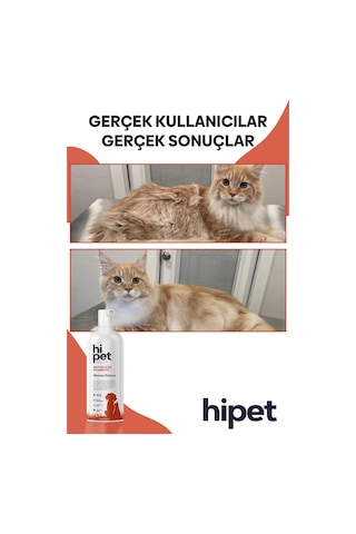 HiPet Kedi Kuru Şampuan