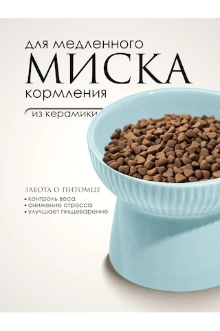 Vektorı Kedi Kabı Seramik 391812075