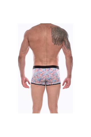 Erkek Çok Renkli Fantezi Giyim Desenli Boxer Hf072205