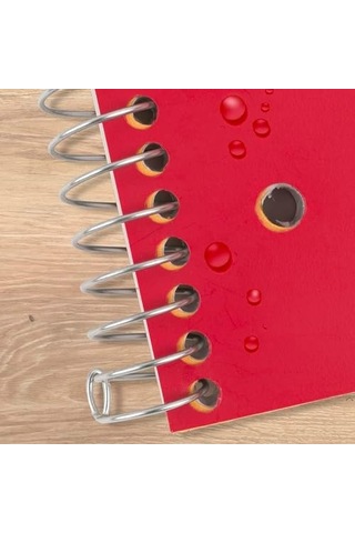 Five Star Spiral Defterler + Çalışma Uygulaması, 6&apos Lı Paket, 1 Konu, Kolej Kareli, 8-1/2 "x 11", 100 Yaprak, Özelleştirilebilir Kapak, Ateş Kırmızısı, Orman Yeşili, Pasifik Mavisi, Ametist Mor, Beyaz, 103 Ivory