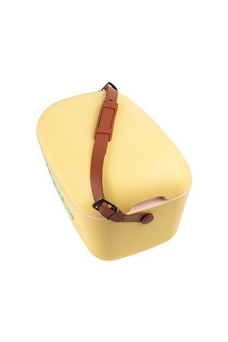 Polarbox Amarillo Verde Agua Classic - 12l Buzluk Cooler Çok Renkli