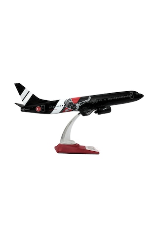 Zekupp Boeing 737-800 1/100 Ölçek Siyah Kartal Tasarımlı Maket Uçak