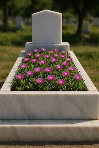 Mezar - Kabir Çiçekli Bitki Seti - 90 Adet Kaz Ayağı + 20 Kg Dolo