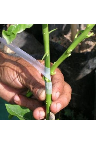 Aşılama Paketi Aşı Bandı Aşı Macunu (2'Li Paket)