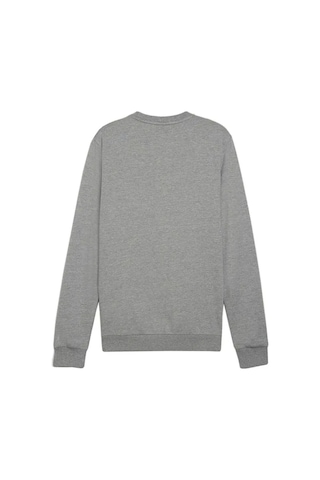 Puma Teamgoal Casuals Crew Neck Erkek Futbol Sweatshirts 65859233 Gri Pchs-2