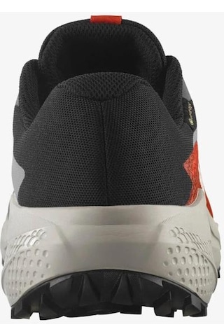 Salomon Alphaglıde Gore-tex Casrlerock Lunar Rock Erkek Koşu/spor Ayakkabısı Gri