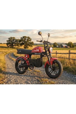 Ape Ryder Gibbon Ultra Pro 1000w Elektrikli Bisiklet Kırmızı Ayna ve El gazı