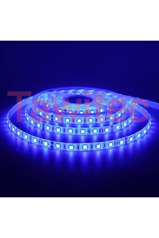 3 Çipli Silikonlu Şerit Led Mavi Renk 12 Volt Dış Mekan 5050
