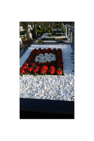Asenya Mezar Taşı 20 Kg 2-4 Cm Beyaz Dolomit Taş Dere Çakıl Taşı Bahçe Süs Taşı Mezar Süsleme Taşı