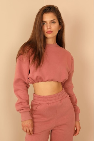 Kaktüs Moda Şardonlu 3 Iplik Kumaş Uzun Kol Kadın Sweatshirt Pemb