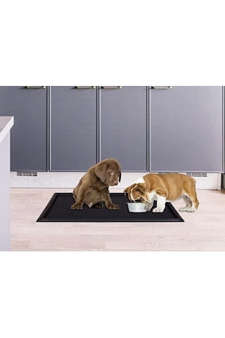 Çok Amaçlı Havuzlu Hijyen Paspası