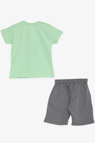 Breeze Girls & Boys Erkek Çocuk Şortlu Takım Antika Araba Temalı 1.5-5 Yaş, Fıstık Yeşili-fıstık Yeşili Fıstık Yeşili