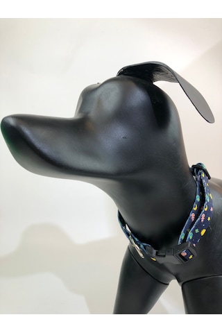 Mita Ayarlanabilir Köpek Boyun Tasması Space