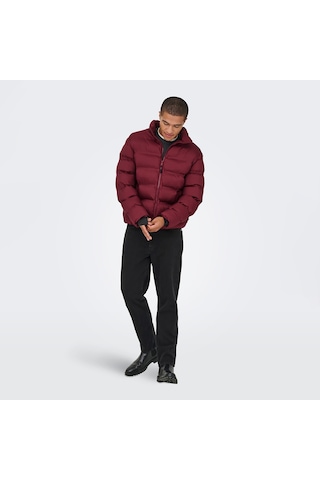 Only & Sons Union Seamless Life Erkek Bordo Mont 22034834-cab Bordo