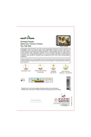 Portakal Nergisi Çiçek Tohumu 30 Adet