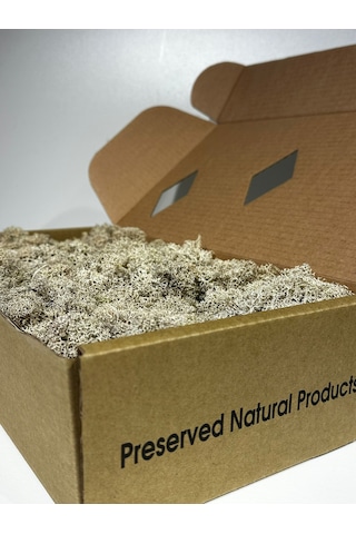 Reindermoss Şoklanmış Norveç Yosunu Terarium Yosunu Natural Green 5 Kg.