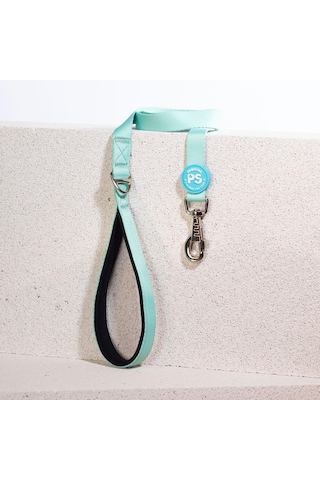 Pawstar Mint Leash Kedi Köpek Sevk & Gezdirme Kayışı Köpek Uzatma Tasması Mint