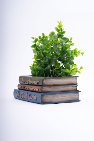 Dekoratif Kitap Saksı Öğretmenler Günü