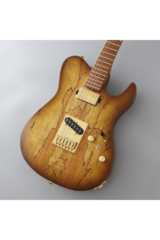 Fujigen Iliad Elektro Gitar Eılew1hsrm/hcb