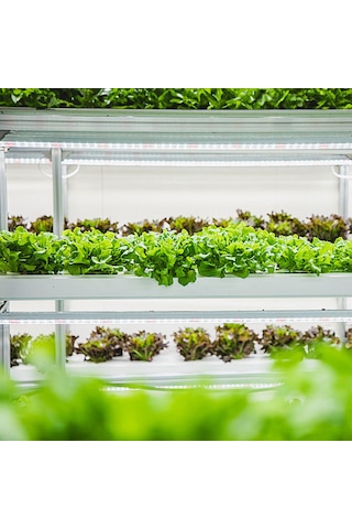 Konesam 3 Kollü 30cm Led Bitki Işığı: Kırmızı Isı Işığı, 4 Seviye Parlaklık, 24 Saat Akıllı Zamanlama 3h/9h/12h , Usb İle Hızlı Kurulum, Fosforilasyonu Teşvik Et Ve Aşırı Büyümeyi Engelle Kırmızı