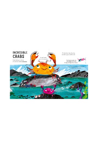 Curious Kids: Sea and Shore