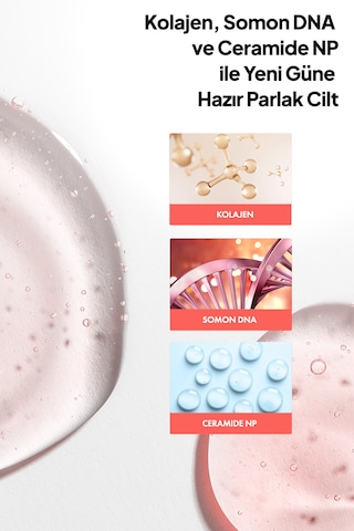 Phlab Collagen Night Serum 30 ML