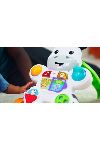 Fisher Price Melodili Zebra Yürüteç Dld80 - Diğer