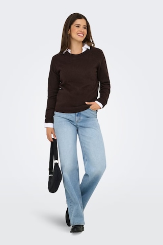 Only Onlrica Regular Fit Bisiklet Yaka Kazak Kadın Kazak 15204279 Koyu Kahve